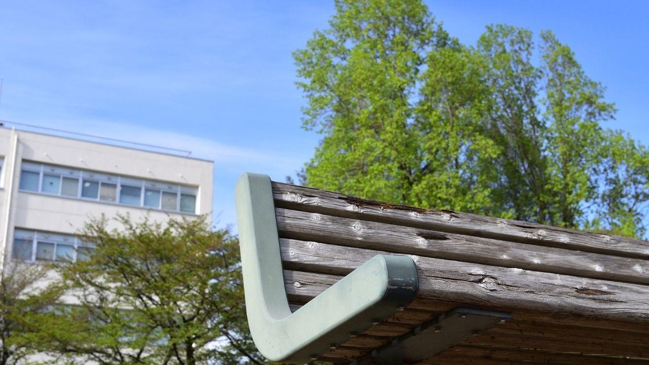 Menjadi Mahasiswa Di Indonesia: Proses Belajar Hidup Mandiri Dan Bersosialisasi