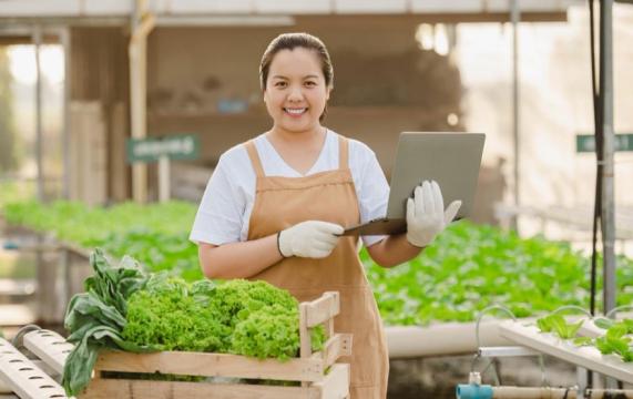 Jurusan Agribisnis Di Bandung: Pilihan Tepat Untuk Masa Depan Cerah Bersama Universitas Ma’soem