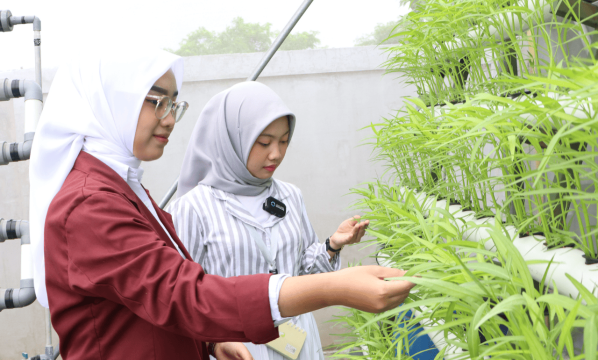 Gambar Artikel Jurusan Agribisnis Ma’soem University: Paduan Ilmu Pertanian Dan Bisnis Modern Untuk Masa Depan Gemilang