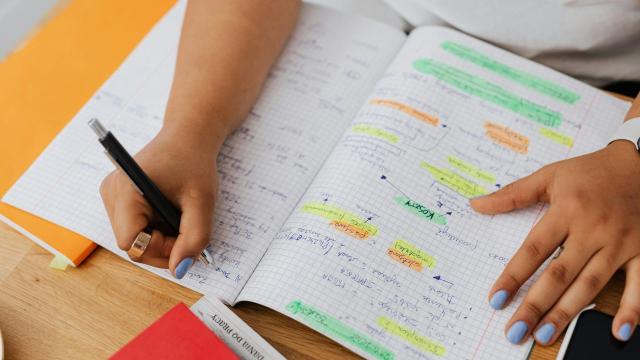 Gambar Artikel Pendidikan Sepanjang Hayat: Belajar Tidak Pernah Mengenal Usia