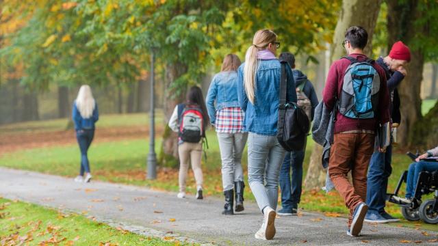 Gambar Artikel Ragam Program Studi Di Perguruan Tinggi Indonesia: Pilihan Akademik Dan Arah Masa Depan Mahasiswa