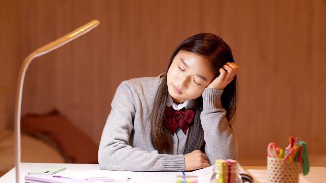 Gambar Artikel Pengembangan Kurikulum Berbasis Kreativitas Di Universitas Indonesia Untuk Mendorong Mahasiswa Inovatif