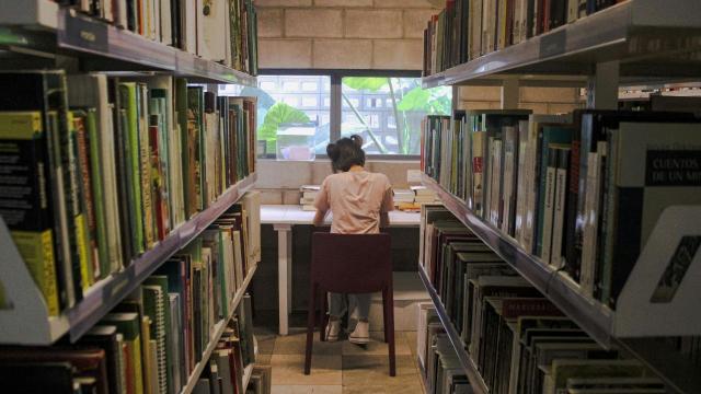 Gambar Artikel Mahasiswa Freelancer: Mengasah Skill Dan Menghasilkan Uang Dari Keahlian Sendiri