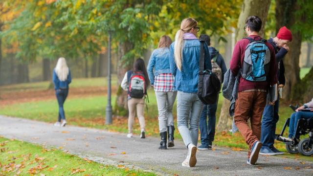Gambar Artikel Mahasiswa Dan Tantangan Kampus Modern: Peran Pendidikan, Organisasi, Dan Kesehatan Holistik