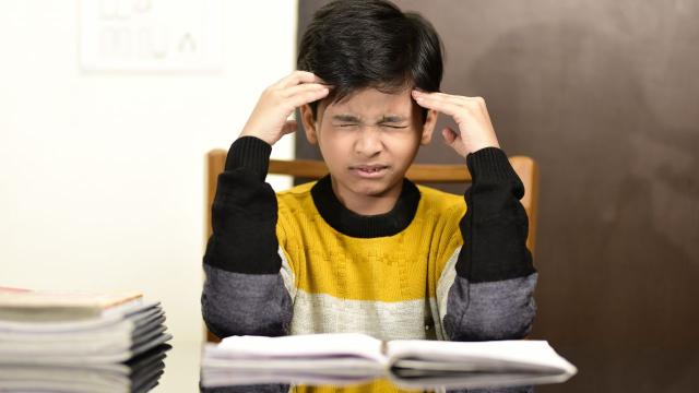 Gambar Artikel Integrasi Pendidikan Inklusif Dan Pendidikan Karakter Dalam Membentuk Mahasiswa Berdaya Saing