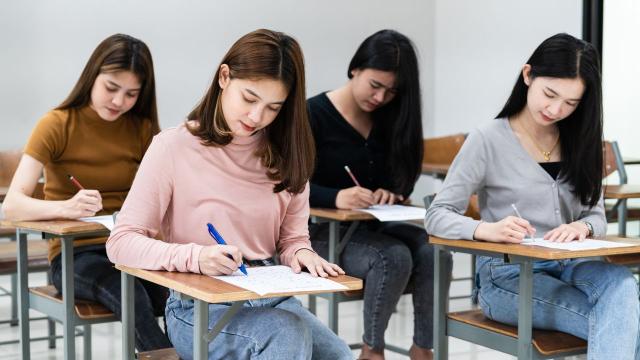 Mahasiswa Dan Pengalaman Magang Sebagai Jembatan Ke Dunia Profesional