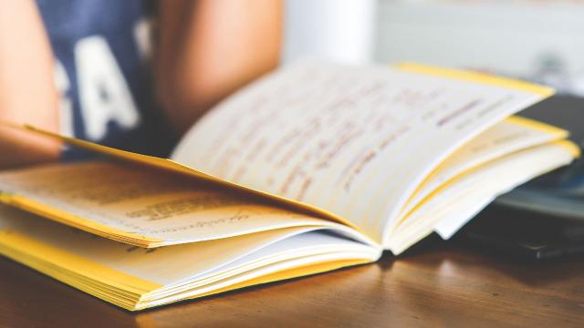 Gambar Artikel Mahasiswa Dan Makna Kebersamaan Dalam Kehidupan Akademik Dan Sosial