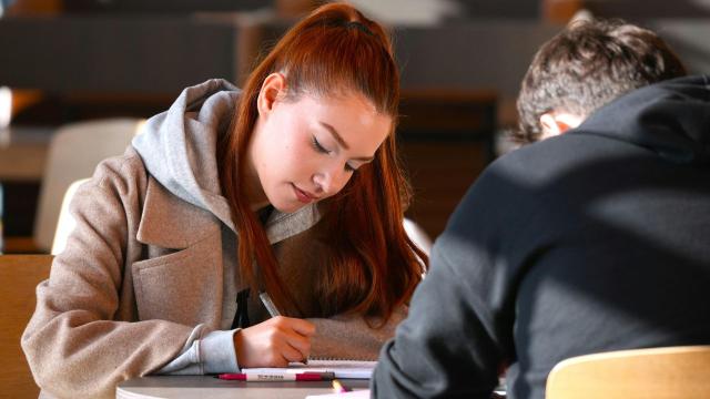 Gambar Artikel Mahasiswa Dalam Organisasi Intra Kampus Dan Manfaatnya