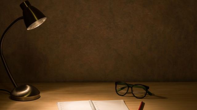 Strategi Pengembangan Karier Mahasiswa Melalui Magang, Proyek, Dan Organisasi