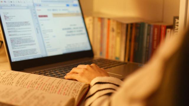 Gambar Artikel Program Studi Ekonomi Dan Peluang Karier Lulusan