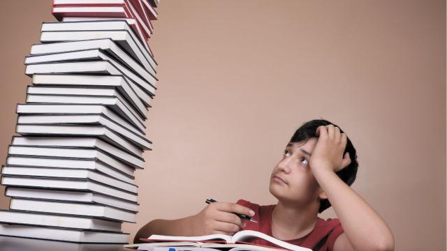 Gambar Artikel Program Studi Hukum Di Indonesia