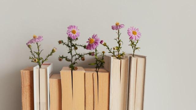 Dinamika Kehidupan Mahasiswa: Menyeimbangkan Studi, Organisasi, Dan Kesehatan Di Era Modern