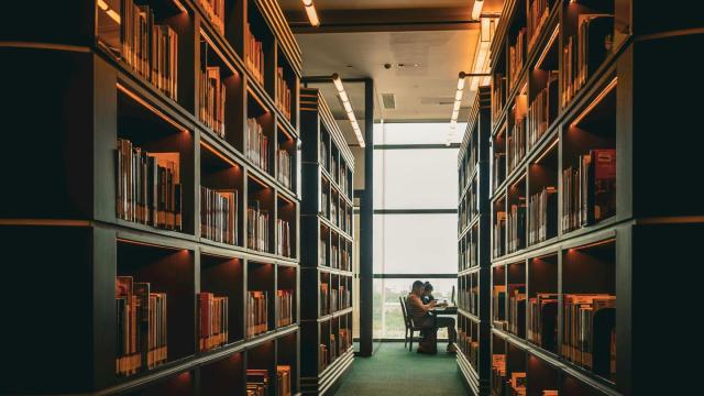 Gambar Artikel Mahasiswa Visioner: Mengintegrasikan Pendidikan Karakter, Kesehatan, Dan Kreativitas