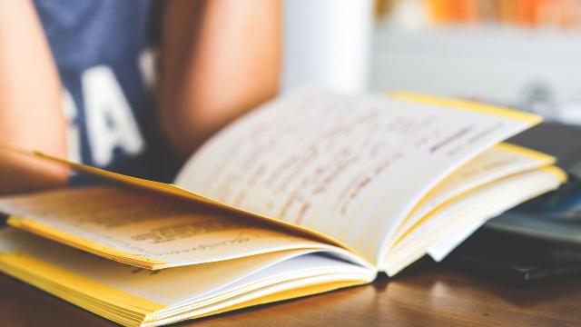 Gambar Artikel Menjadi Mahasiswa Aktif Dan Seimbang: Kunci Bertahan Dan Berkembang Di Dunia Kampus