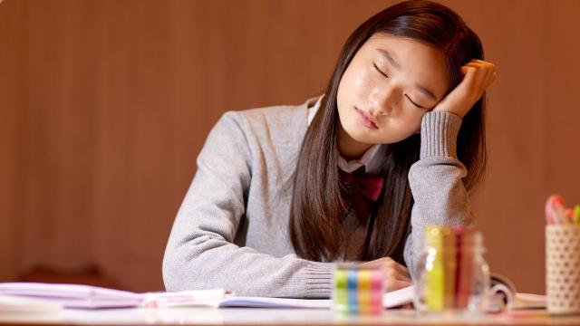 Gambar Artikel Dinamika Kehidupan Mahasiswa Di Kampus Indonesia Yang Terus Berubah