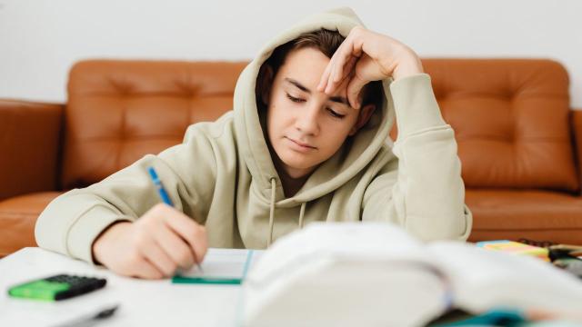 Mahasiswa Dan Kewirausahaan: Menumbuhkan Jiwa Mandiri Di Perguruan Tinggi