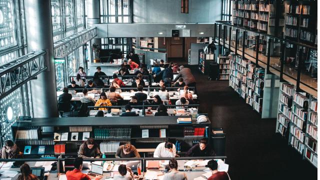 Mengenal Ragam Program Studi Di Perguruan Tinggi Indonesia Dan Peluang Masa Depan