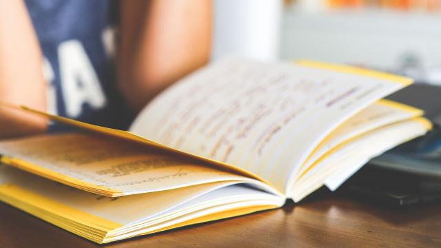 Gambar Artikel Realitas Dunia Kampus Di Indonesia: Tantangan, Kesempatan, Dan Proses Pendewasaan Mahasiswa