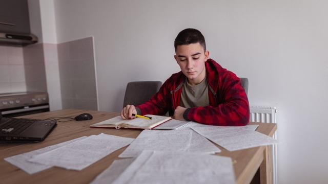 Gambar Artikel Peran Program Pengabdian Masyarakat Dalam Pembentukan Karakter Mahasiswa