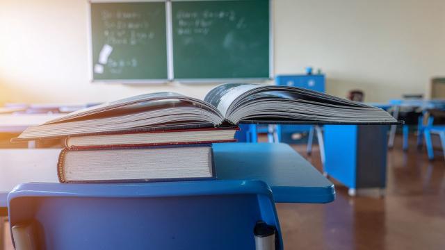 Kehidupan Mahasiswa Indonesia: Adaptasi Dan Pembelajaran Di Dunia Kampus