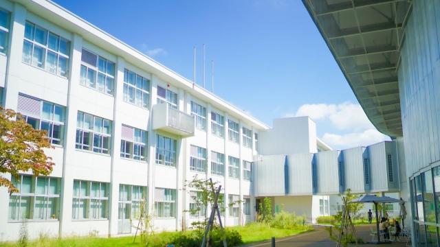 Gambar Artikel Kehidupan Mahasiswa Di Indonesia: Antara Kos, Organisasi, Dan Pergaulan