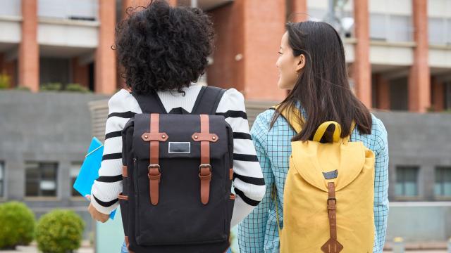 Gambar Artikel Kehidupan Mahasiswa Di Indonesia Dalam Mengasah Kepemimpinan Dan Kerja Sama