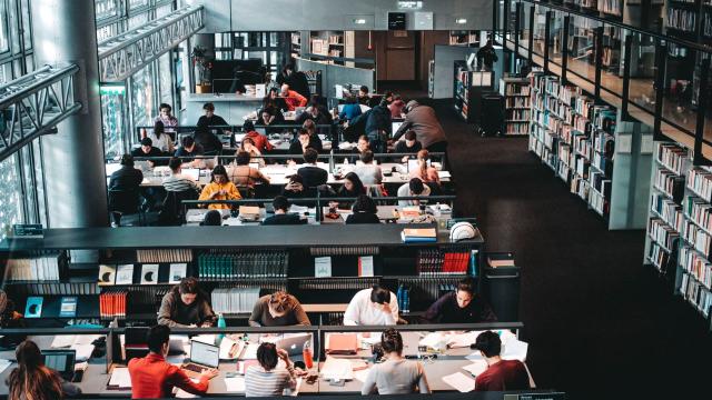 Mahasiswa Indonesia Dalam Aktivitas Kampus Dan Pengembangan Potensi