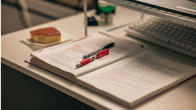 Mahasiswa Indonesia Dan Dinamika Magang, Kerja Paruh Waktu, Serta Pengalaman Profesional