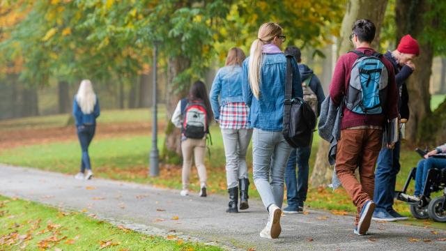 Peran Mahasiswa Dalam Meningkatkan Kreativitas Seni Di Kampus