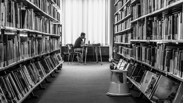 Gambar Artikel Peran Mahasiswa Dalam Mendorong Program Lingkungan Hidup Di Kampus