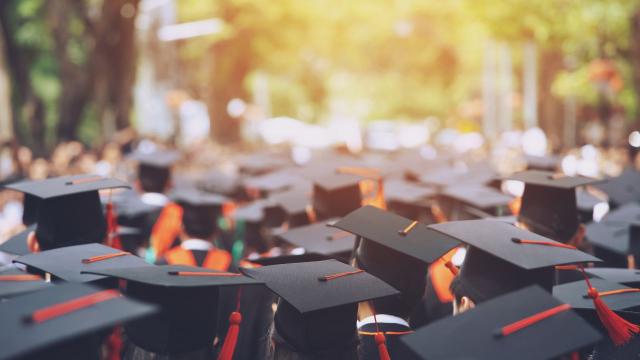 Gambar Artikel Dampak Media Sosial Terhadap Kehidupan Mahasiswa