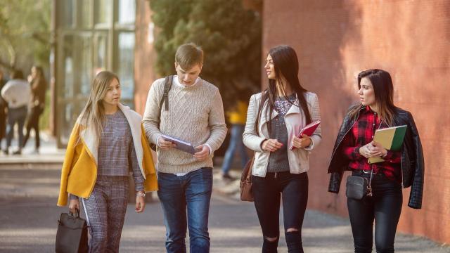 Gambar Artikel Kesehatan Fisik Mahasiswa Di Tengah Jadwal Padat