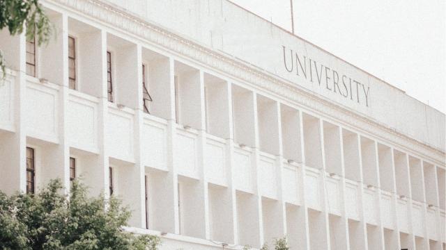 Gambar Artikel Mahasiswa Dan Tantangan Menjaga Motivasi Belajar Hingga Lulus