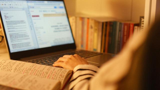 Pentingnya Magang Bagi Mahasiswa Sebagai Persiapan Dunia Kerja