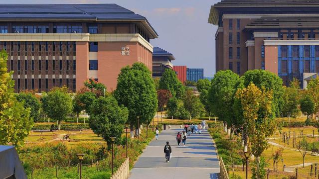 Gambar Artikel Pendidikan Karakter Di Perguruan Tinggi: Membentuk Mahasiswa Yang Berintegritas Dan Bertanggung Jawab