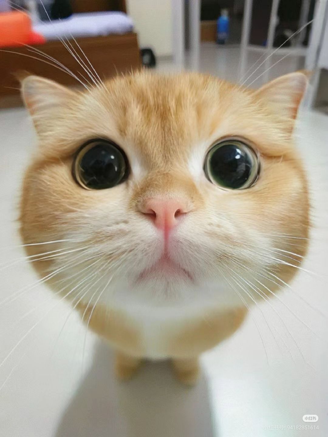 UniversitasIndonesia.com - Foto Profil Ahmad Wildan